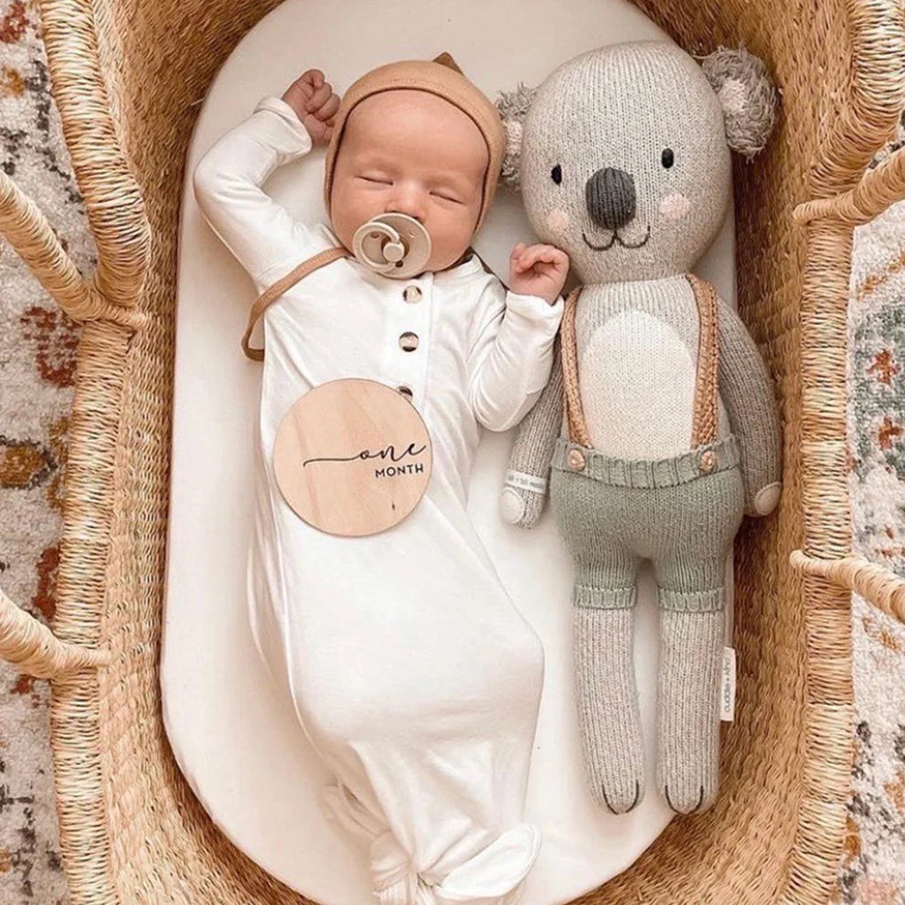 Quinn the koala