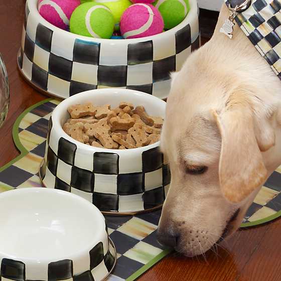 Courtly Check Medium Pet Dish