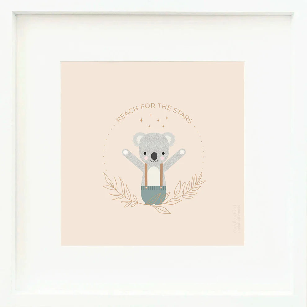 Quinn the koala