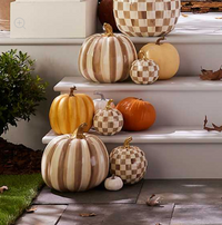 Mocha Stripe Medium Pumpkin