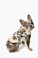 Leopard Dog Sweater