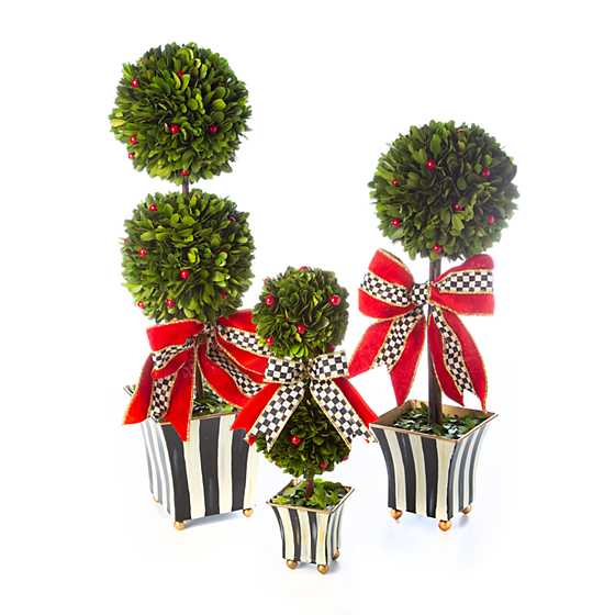 Classic Courtly Boxwood Topiary - Medium