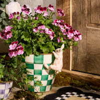 Rosy Check Funny Bunny Pot Climber