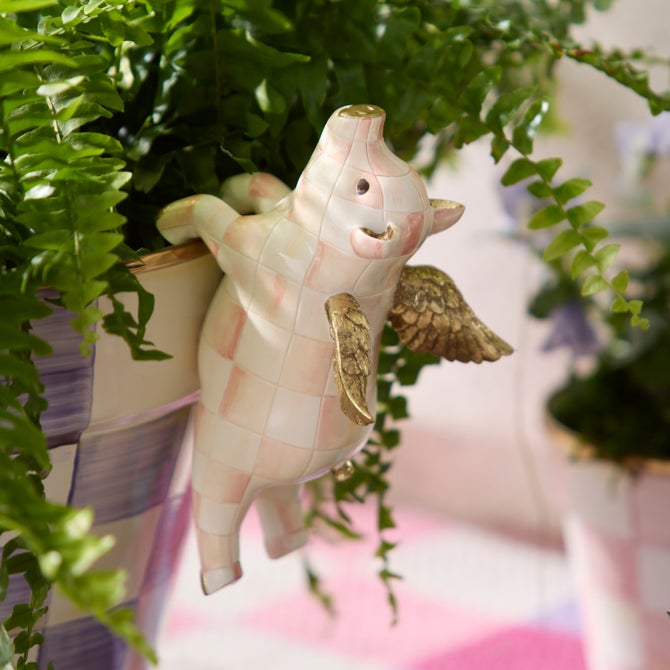Rosy Check Flying pig Pot Climber