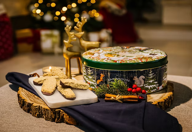 Christmas Woodland Animals Large Round tin