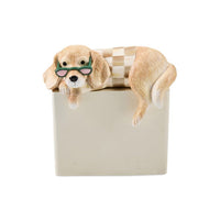 Dachshund Ledge Sitter