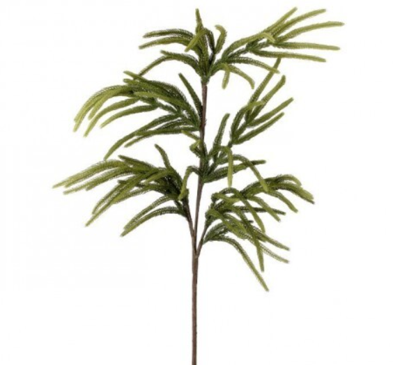 36" REAL TOUCH NORFOLK PINE SPRAY