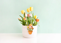 Pot of Tulips Mini Attachment