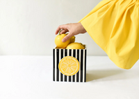 Black Stripe Medium Mini Nesting Cube