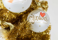 Virginia Motif Glass Ornament