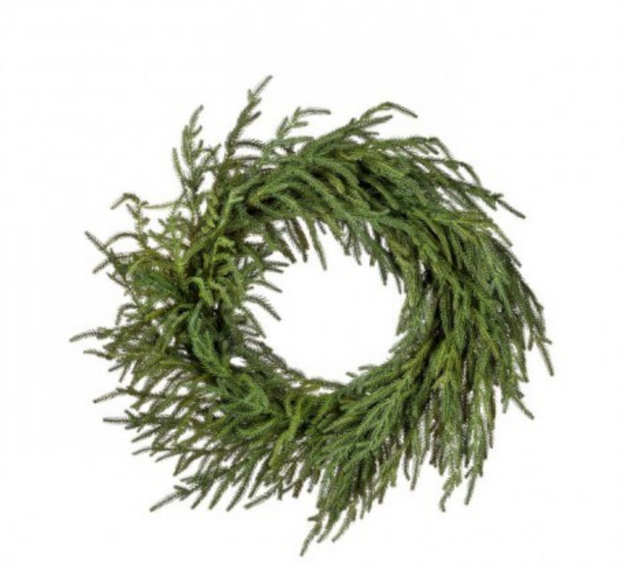 24" Just Cut Norfolk Pine Wreath