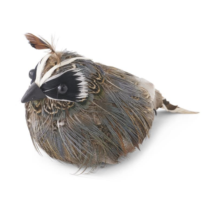 Feathered Quail