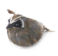 Feathered Quail