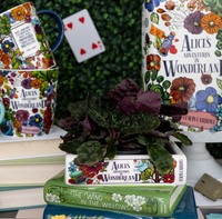 Stacked Books Planter, Alice/Wind in the Willows/The Secret