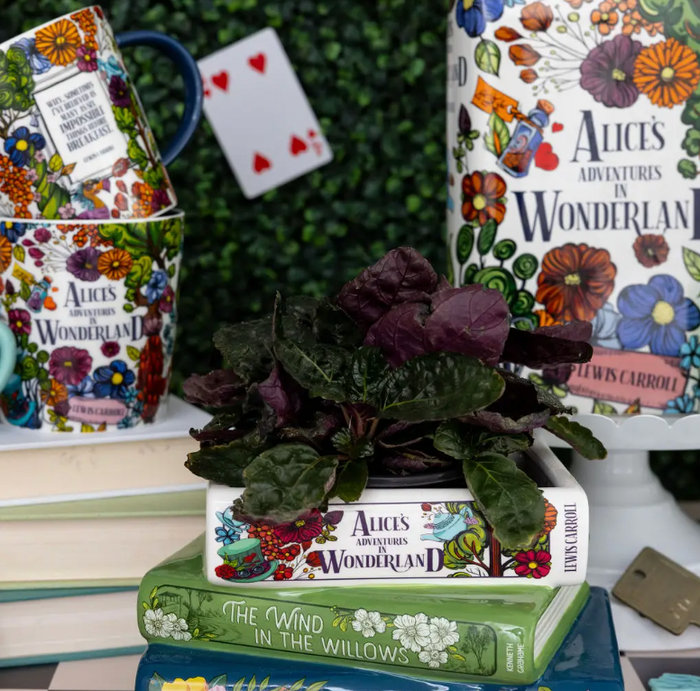 Stacked Books Planter, Alice/Wind in the Willows/The Secret