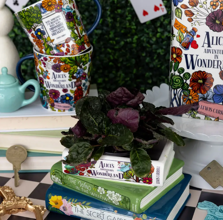 Stacked Books Planter, Alice/Wind in the Willows/The Secret