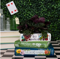 Stacked Books Planter, Alice/Wind in the Willows/The Secret