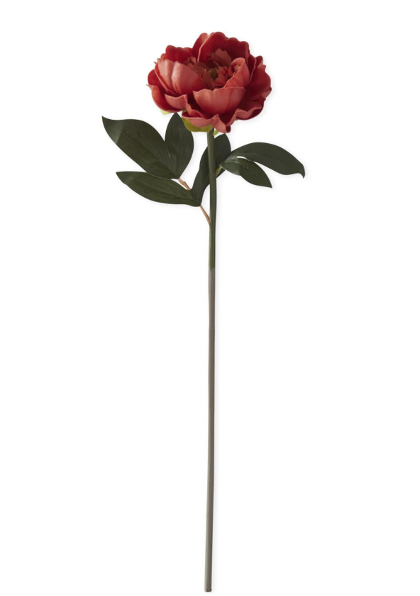 20.5 Inch Real Touch Rust Peony Stem