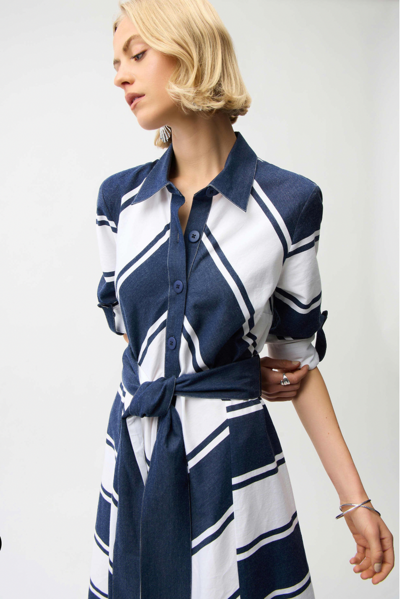Stripe Print Fit & Flare Shirt Dress w/ Sash Style