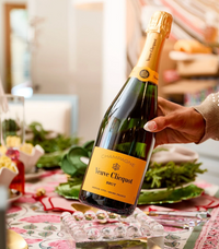 Small Bubble Lucite Tray