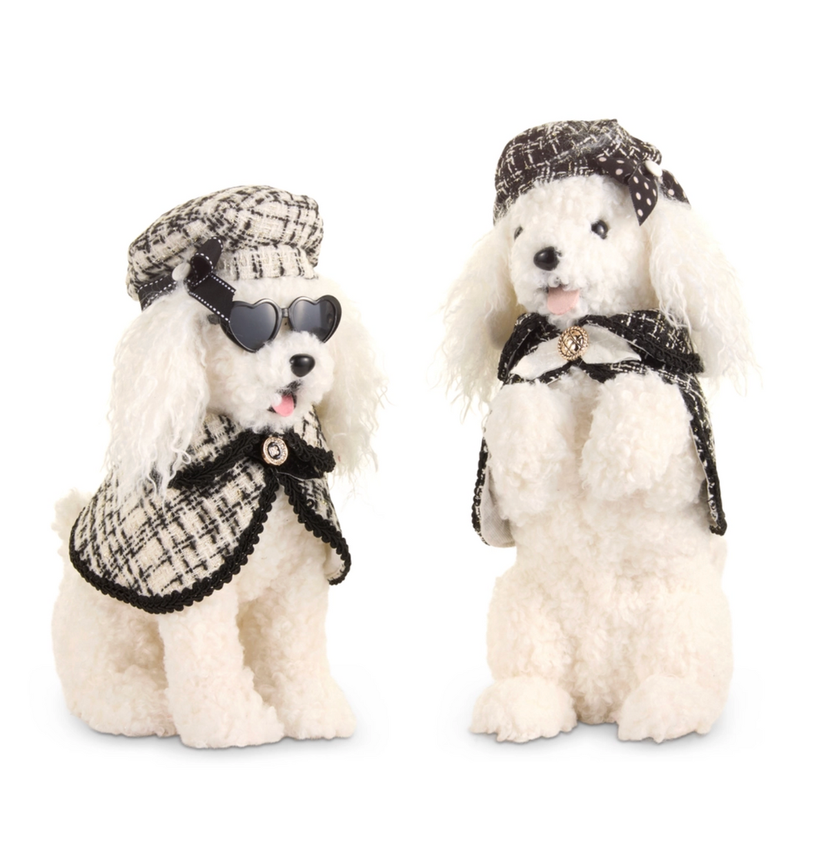 Mini Poodle