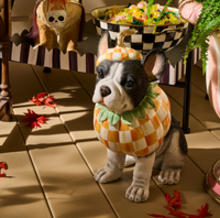 Trick or Treat Frenchie Dog Figurine