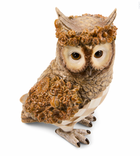 Mocha Check Owl