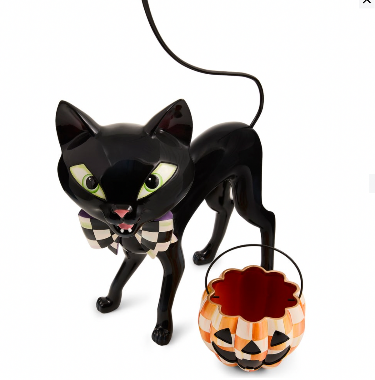 Courtly Cat with Pumpkin Bucket
