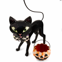 Courtly Cat with Pumpkin Bucket