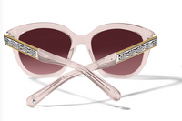 Intrigue Sunglasses