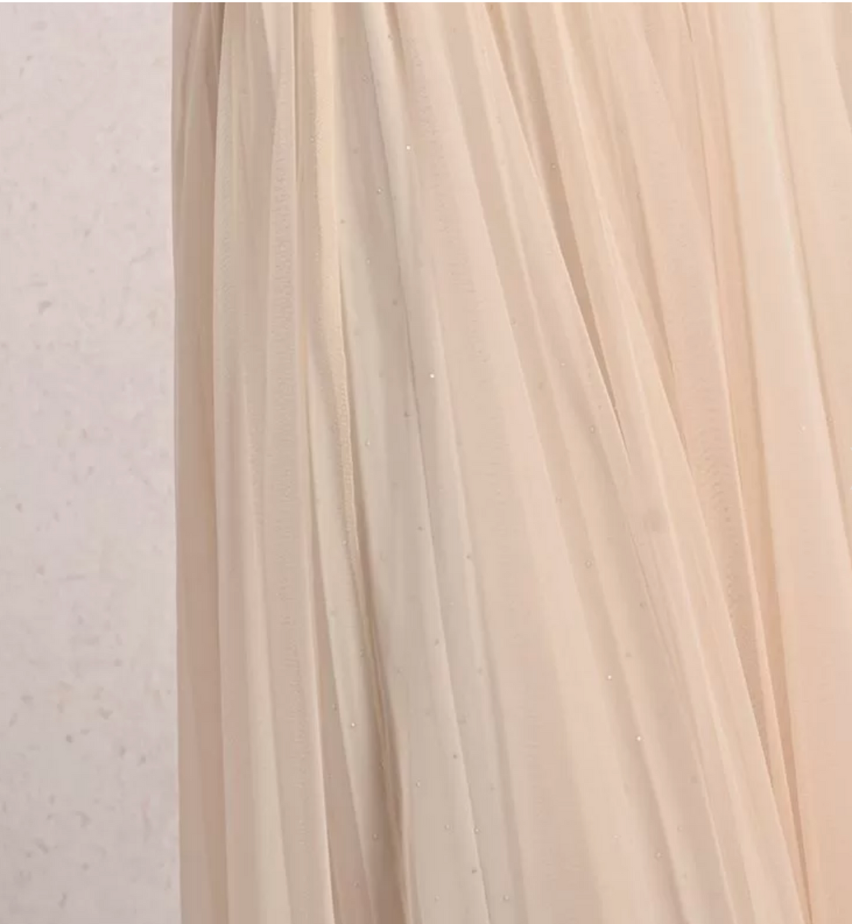 Long Pleated Tulle Skirt
