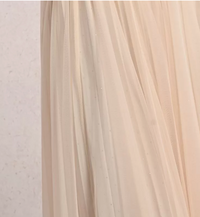 Long Pleated Tulle Skirt