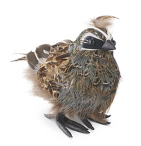 Feathered Quail