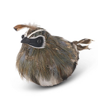 Feathered Quail