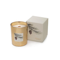 Siberian Fir Gold Wood Wick Candle in Gift Box