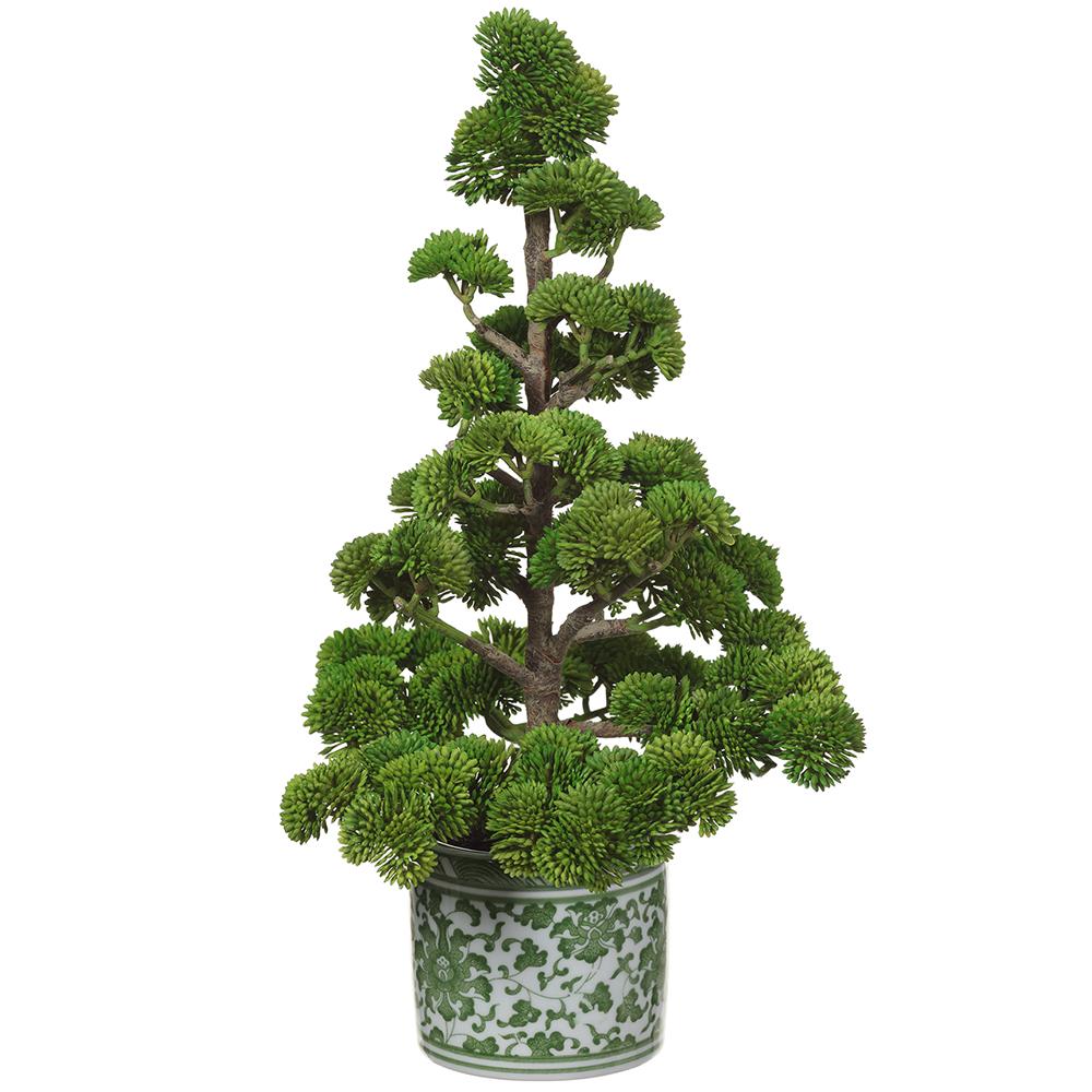 15" Sedum Pine Tree in Ceramic Vase Green