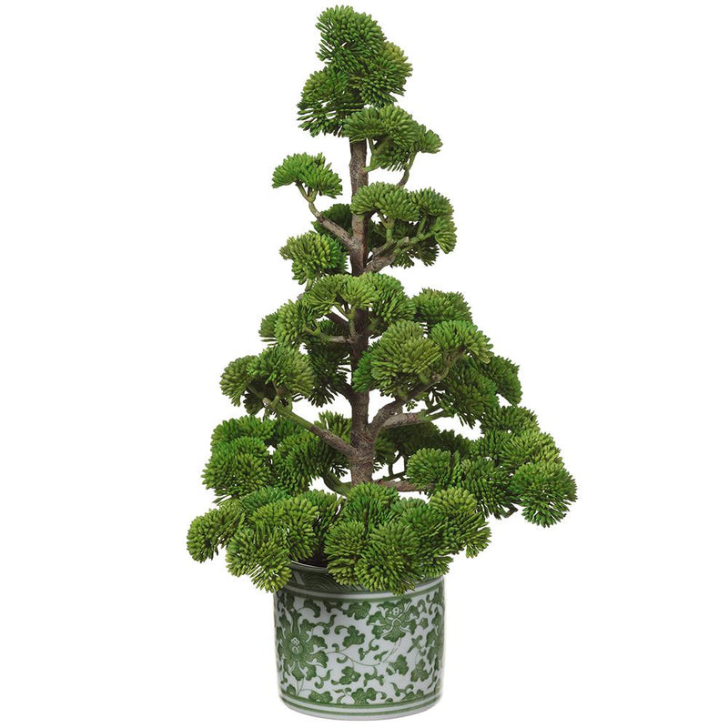 15" Sedum Pine Tree in Ceramic Vase Green