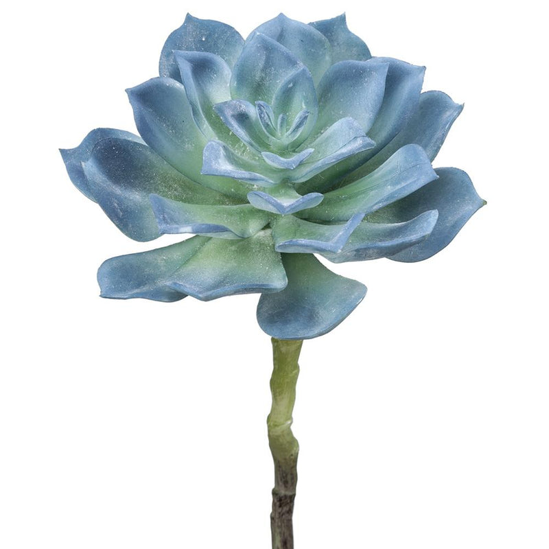 8"Hx5"D Real Touch Echeveria Pick Blue Green