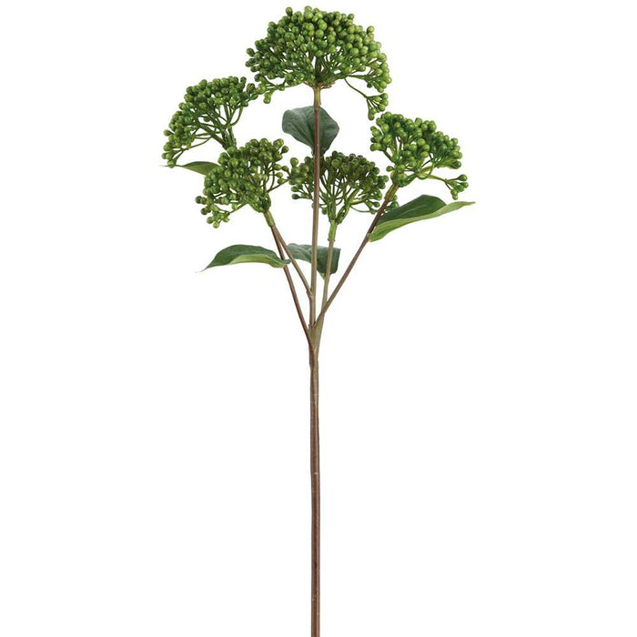 16.5" Sedum Spray  Green