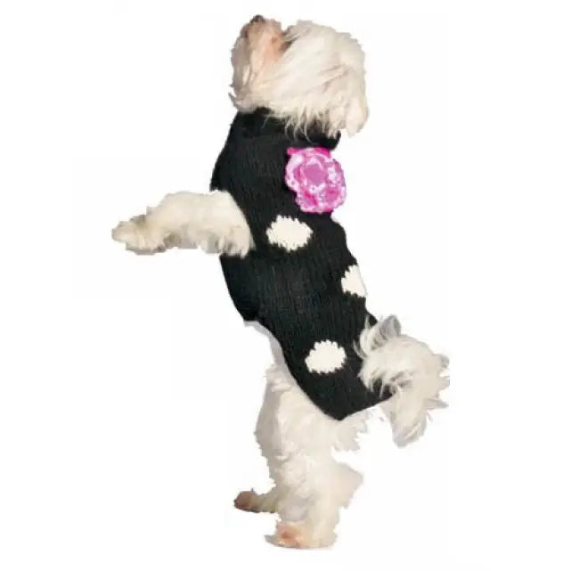 Black Polka Dot Flower Dog Sweater